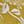 manto Patterned